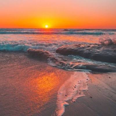 乐鱼体育官网app网页登录